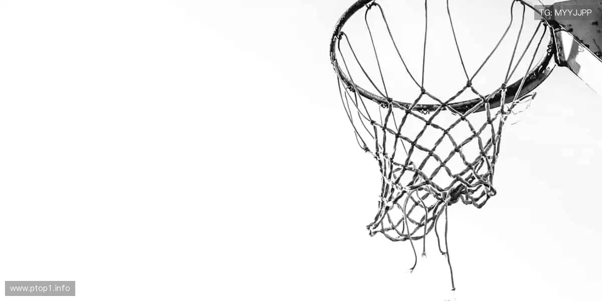 影视盛宴,精彩纷呈!🎥✨